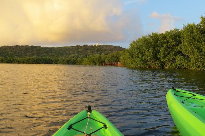 bioluminescent-glowing-bay-kayaking-adventure-in-puerto-rico