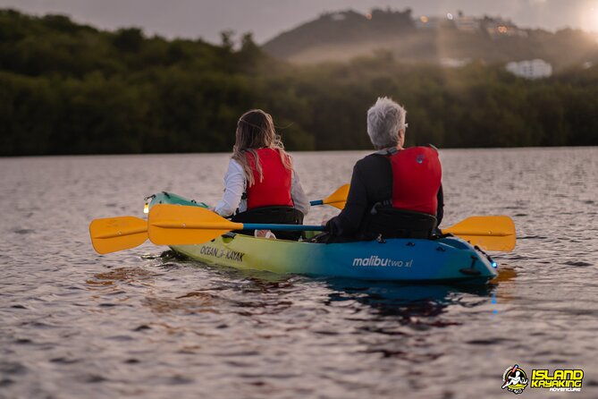 bioluminescent-glowing-bay-kayaking-adventure-in-puerto-rico
