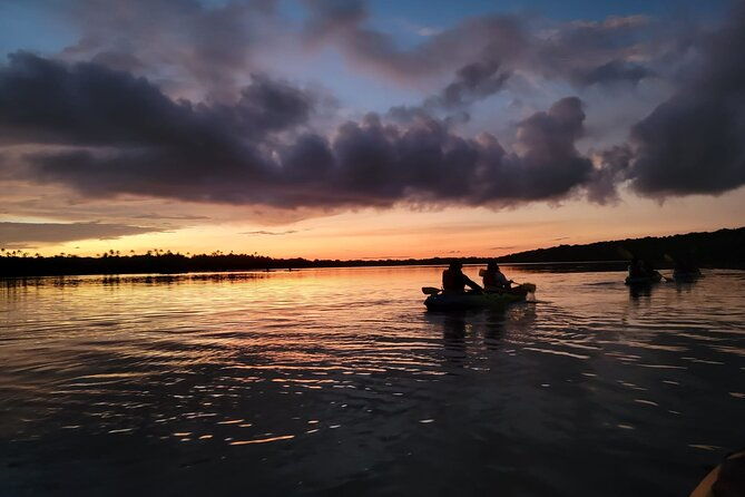 bioluminescent-glowing-bay-kayaking-adventure-in-puerto-rico