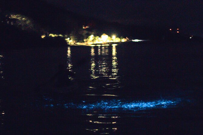 bioluminescent-kayak-tour-2