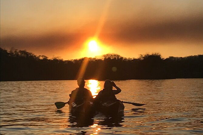 bioluminescent-kayak-tour-2