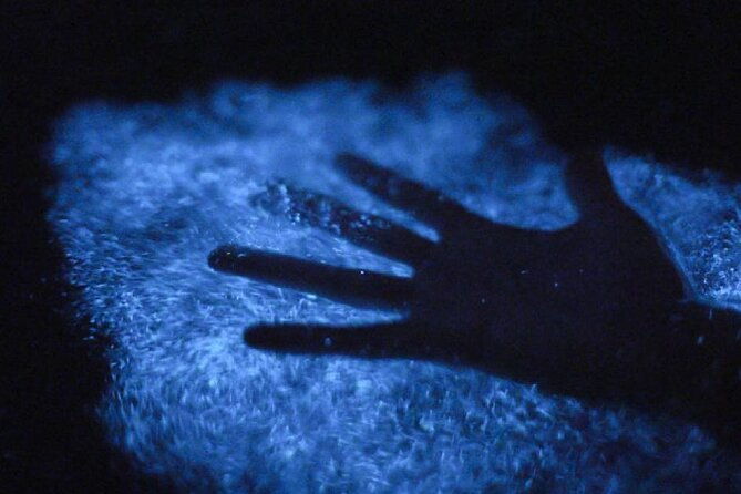 bioluminescent-kayak-tour-in-mosquito-bay