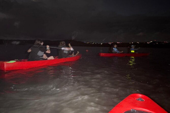 bioluminescent-kayak-tour-in-mosquito-bay