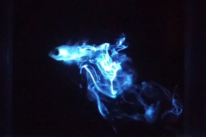 bioluminescent-night-snorkeling