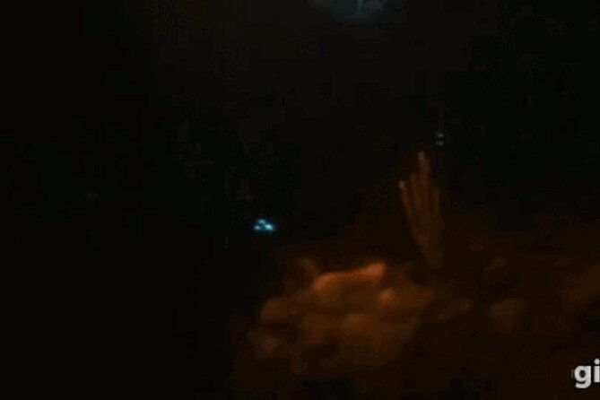 bioluminescent-night-snorkeling