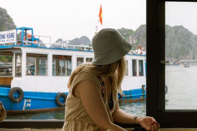 Bioluminescent Plankton Kayak Boat Tour - The Sum Up