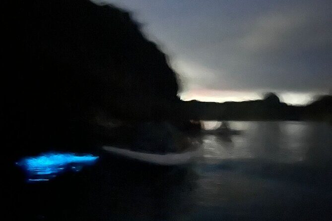 Bioluminescent Plankton Kayak Boat Tour - FAQ