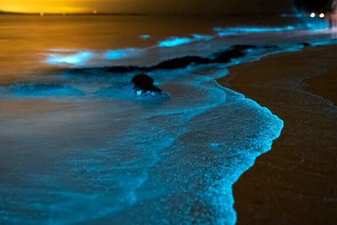 Bioluminescent Plankton, Sea Canoes & Sunset at James Bond Island - Discover the Magic of Phuket’s Bioluminescent Plankton and James Bond Island Experience