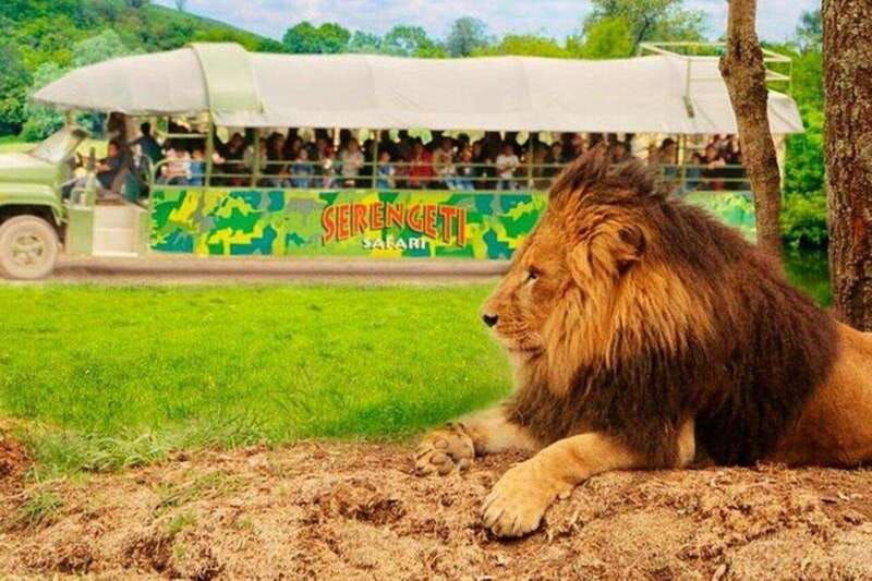 bioparque-estrella-safari-experience-ticket