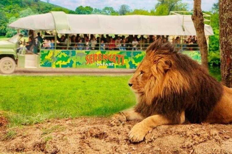 bioparque-estrella-safari-experience-ticket