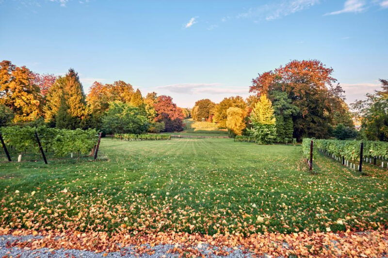 bioul-near-dinant-chateau-de-bioul-tour-and-wine-tasting