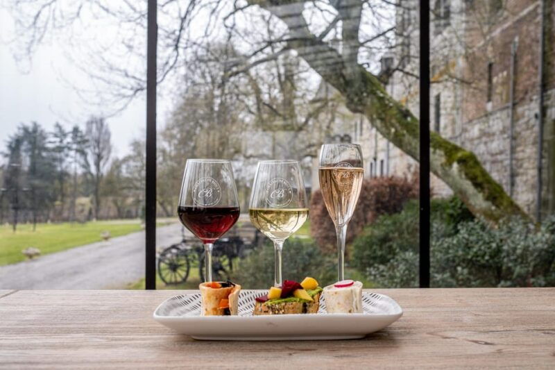 bioul-near-dinant-chateau-de-bioul-tour-and-wine-tasting