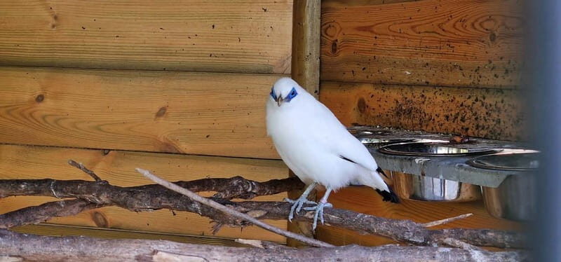 Bird Island sweet west tour - Who Would Enjoy This Tour?