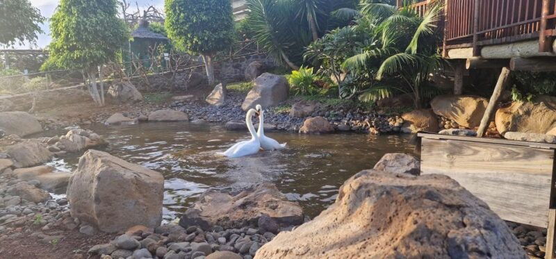 bird-island-sweet-west-tour