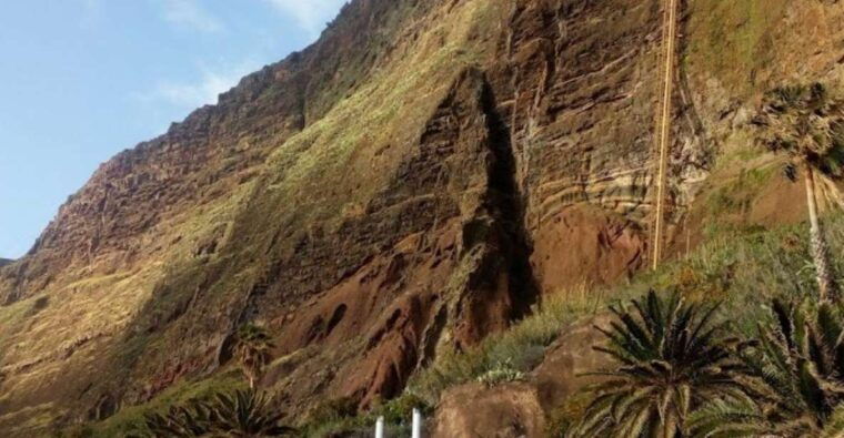 bird-island-sweet-west-tour