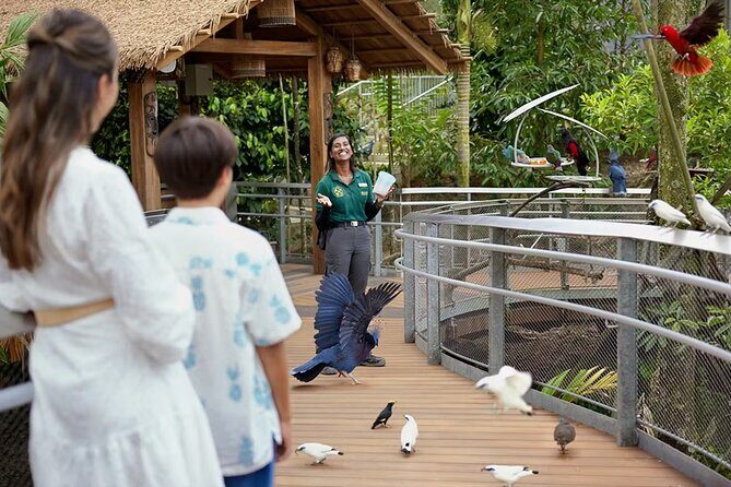 Bird Paradise Singapore Tickets - The Sum Up