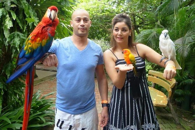 Bird Park & Butterfly Farm Nature Tour From Kuala Lumpur - FAQ