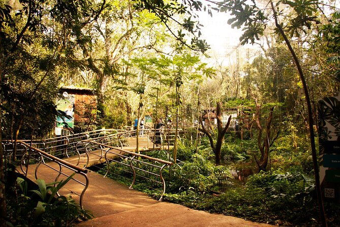 bird-park-general-admission-ticket-and-tour