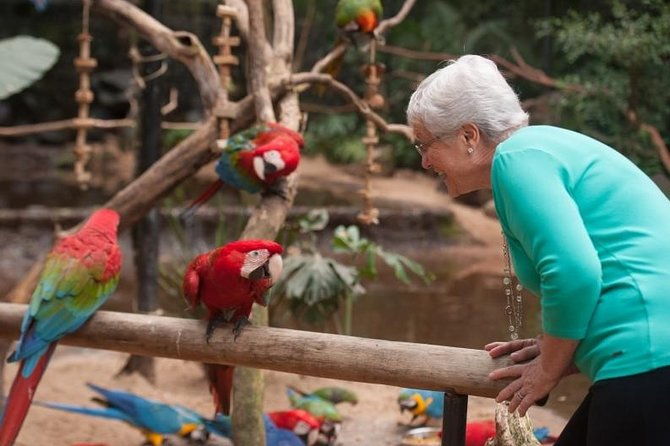 bird-park-iguassu-brazilian-side-from-puerto-iguazu-hotels-private-tour