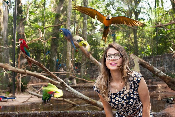 bird-park-iguassu-brazilian-side-gran-melia-hotel-exclusive-private-tour