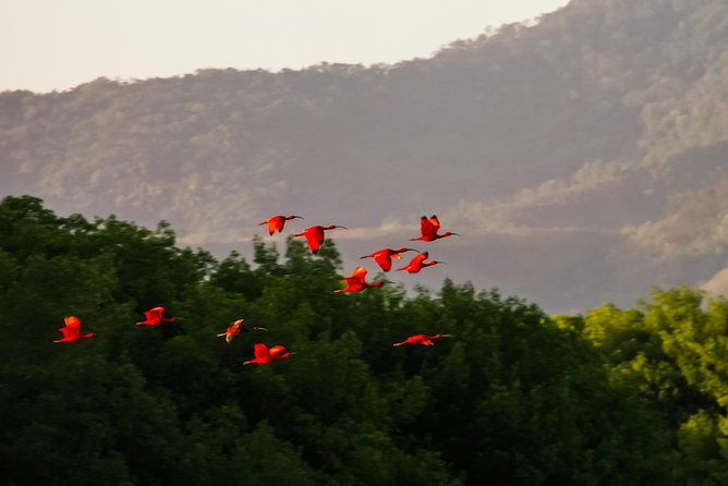 bird-sanctuaries-tour