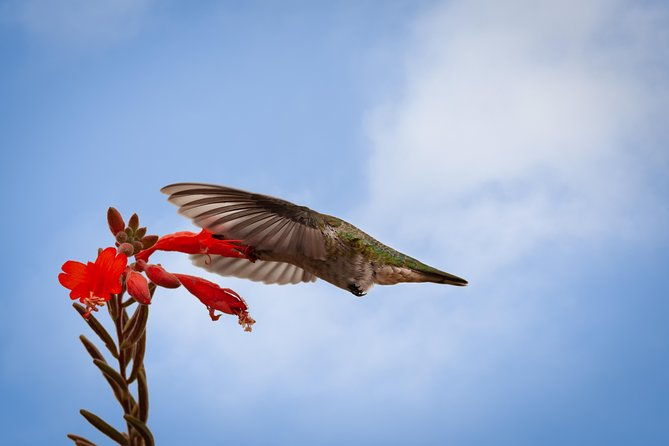 bird-sanctuaries-tour