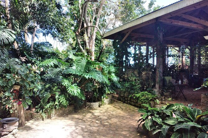 bird-sanctuary-and-or-lethe-bamboo-rafting-from-montego-bay