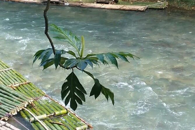 bird-sanctuary-and-or-lethe-bamboo-rafting-from-montego-bay