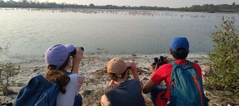 Bird Walk at Navi Mumbai - Key Points