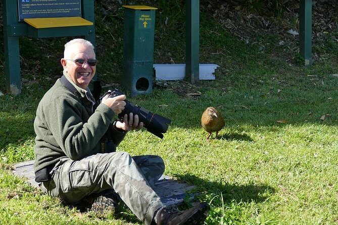 Bird Watching and Dolphin Eco-Tour from Picton - Exploring the Bird Watching and Dolphin Eco-Tour from Picton