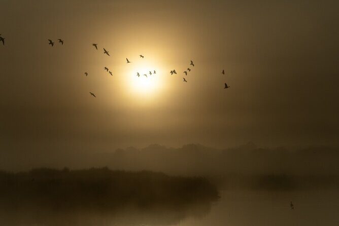 Bird watching and photography around Bathurst, Australia - Who is this tour best suited for?