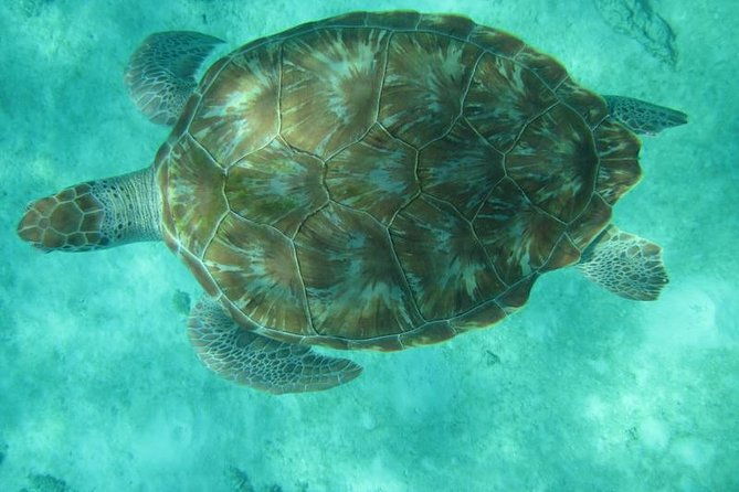 bird-watching-and-waterfall-adventure-on-the-caribbean-coast