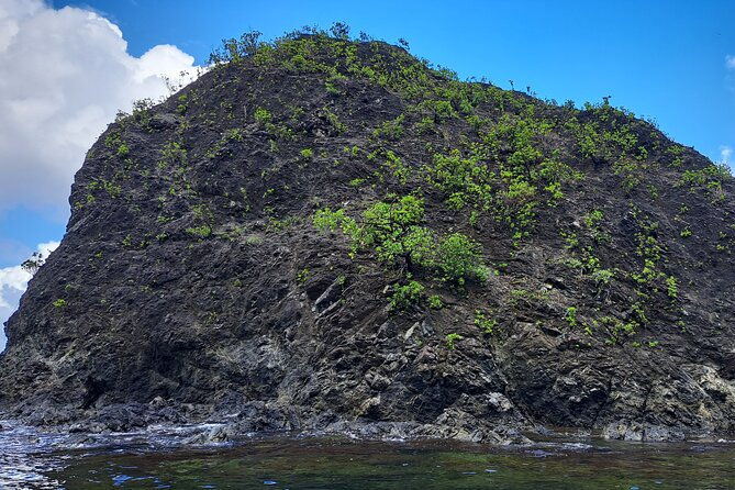 bird-watching-and-waterfall-adventure-on-the-caribbean-coast