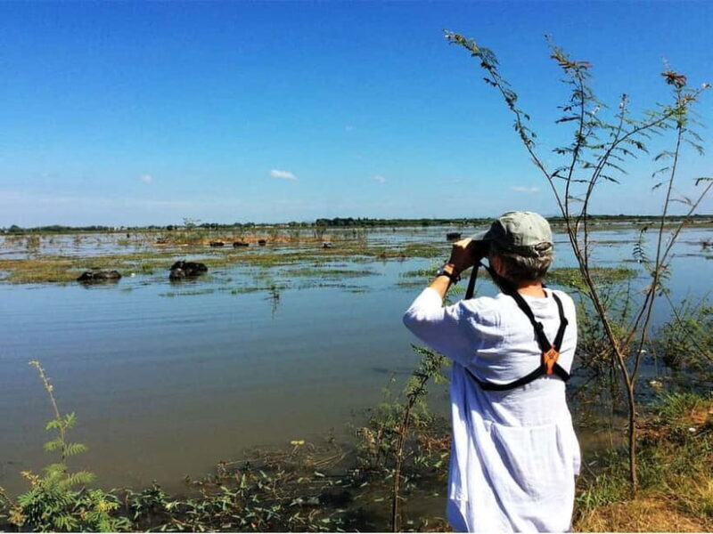 Bird Watching at Tonle Sap Forest and Lotus Farm Siem Reap - What to Expect from Your Bird Watching Adventure