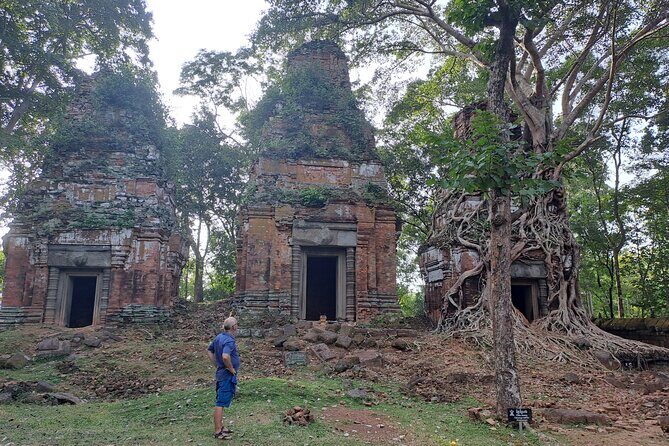 Bird Watching at Tonle Saps Inundated Forest From Siem Reap - The Sum Up