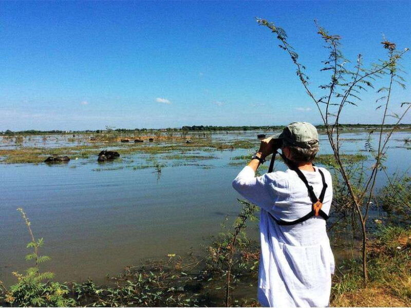 bird-watching-at-tonle-saps-inundated-forest-from-siem-reap