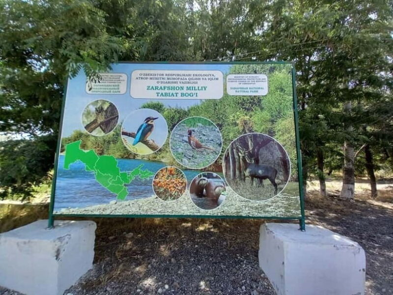 Bird Watching Tours in Samarkand - What Makes This Tour Stand Out?