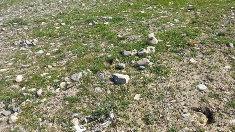 Bird Watching Tours in Samarkand - FAQs