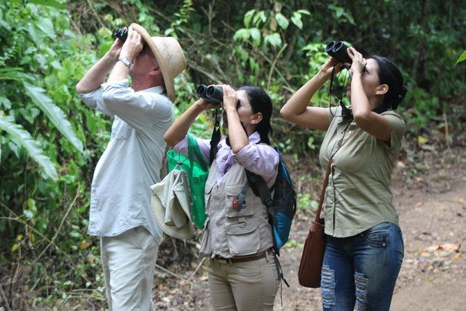 bird-watching-tours-with-sandra-plua-manabi-ecuador