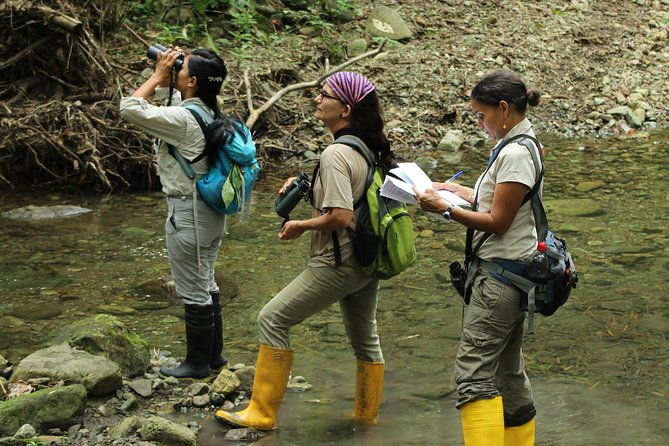 bird-watching-tours-with-sandra-plua-manabi-ecuador