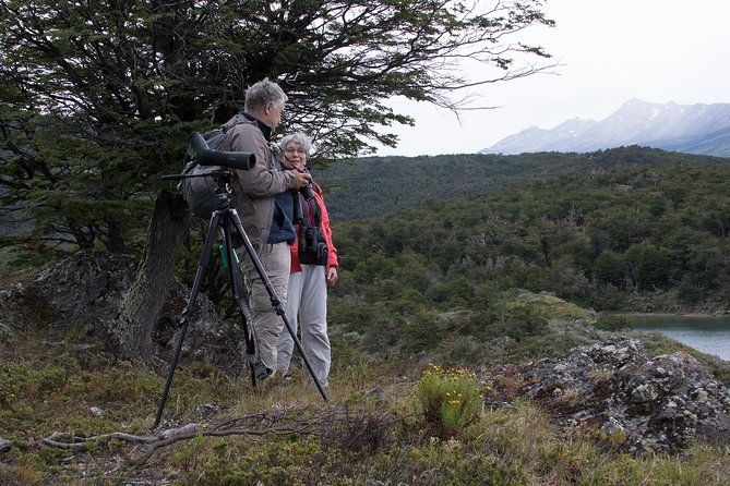 birding-in-tierra-del-fuego-national-park