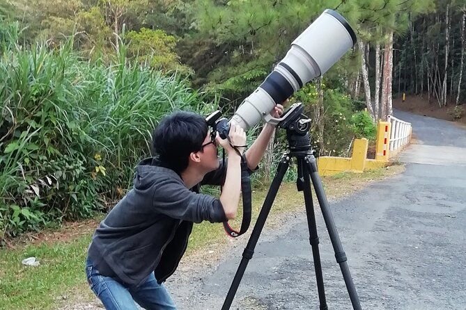 birding-pipeline-road-from-panama-city-or-gamboa