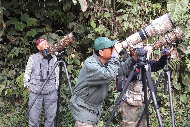 birding-tour