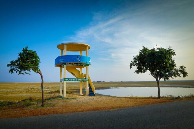 Birds & Beyond: Chennai to Pulicat Bird Sanctuary Day Tour - Key Points