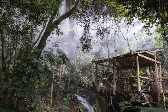 Birds of Eden Admission Ticket - Costs and Value