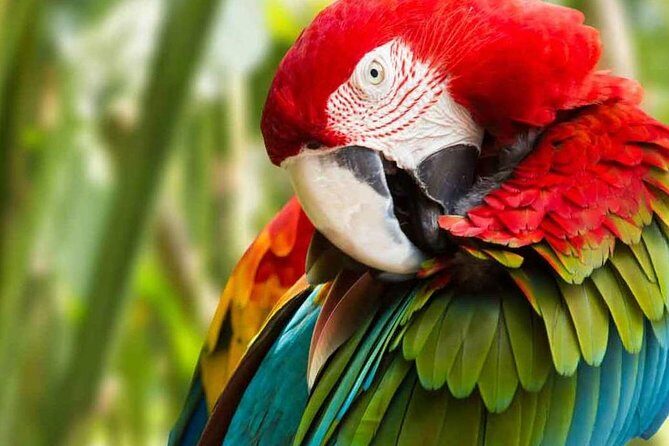 Birds Parks and Batik Art - Key Points