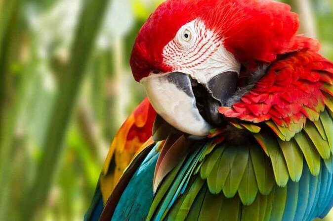 Birds Parks and Batik Art - Final Thoughts: Is This Tour Worth It?