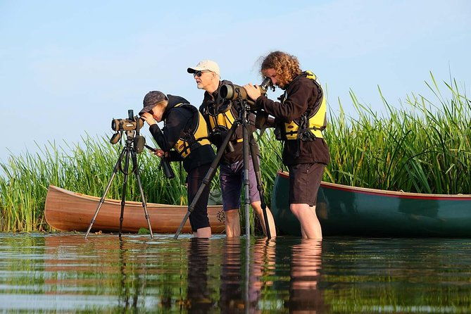 birdwatch-premium-guided-canoe-tour-at-cape-vente-nemunas-delta-regional-park