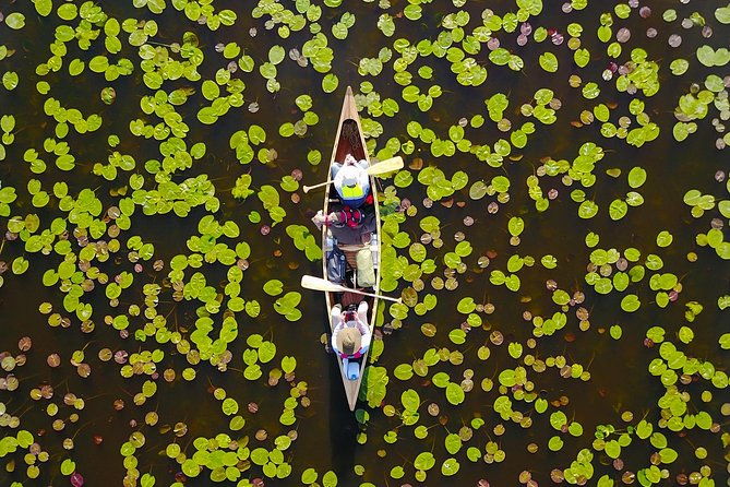 birdwatch-premium-guided-canoe-tour-at-cape-vente-nemunas-delta-regional-park