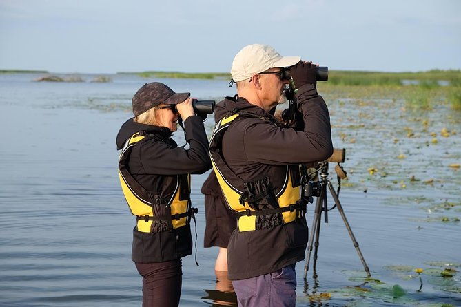 birdwatch-premium-guided-canoe-tour-at-cape-vente-nemunas-delta-regional-park